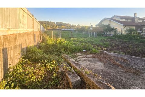 Terra a Grijo, Porto, Grijo - € 110.000 | Ref: TER_68.Mi.002 - foto 8
