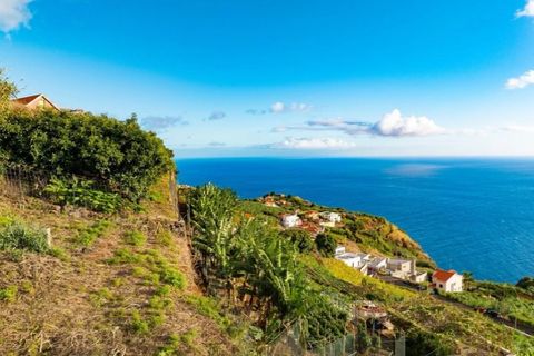 Villa i Ponta do Sol, Madeira, Ponta do Sol - € 1.950.000 | Ref: C0216-03246 - foto 2