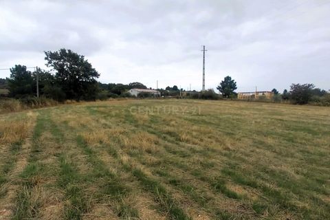 Helårsgrund i Chaves, Vila Real, Chaves - € 19.900 | Ref: C0533-00065 - foto 12