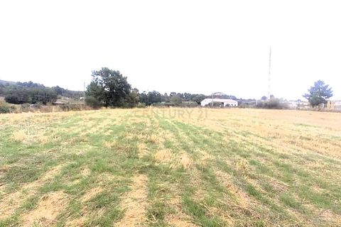 Helårsgrund i Chaves, Vila Real, Chaves - € 19.900 | Ref: C0533-00065 - foto 13