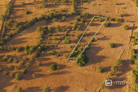 Helårsgrund i Olhao, Faro, Olhao - € 22.500 | Ref: C0358-01042 - foto 2