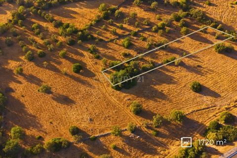 Helårsgrund i Olhao, Faro, Olhao - € 22.500 | Ref: C0358-01042 - foto 6