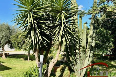 Villa i Siracusa, Siracusa, Siracusa - € 440.000 | Ref: 3493 - foto 25