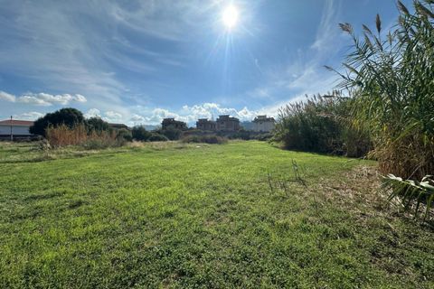 Terra a Saponara, Messina, Saponara - € 230.000 | Ref: TAF003 - foto 3