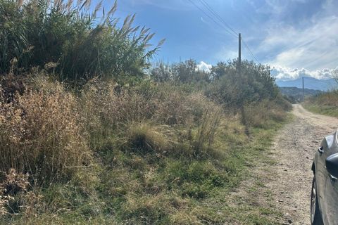 Terra a Saponara, Messina, Saponara - € 230.000 | Ref: TAF003 - foto 6
