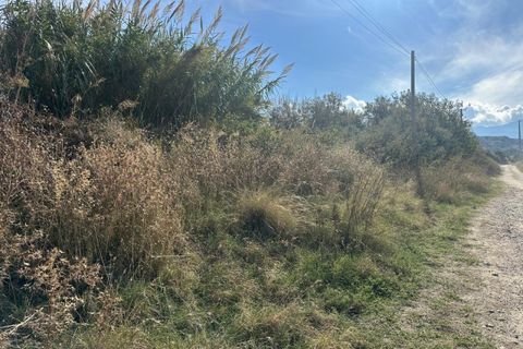 Terra a Saponara, Messina, Saponara - € 230.000 | Ref: TAF003 - foto 7