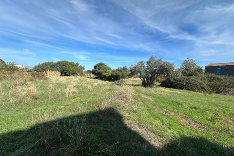 Terra a Saponara, Messina, Saponara - € 230.000 | Ref: TAF003 - foto 9