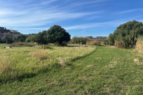 Terra a Saponara, Messina, Saponara - € 230.000 | Ref: TAF003 - foto 10