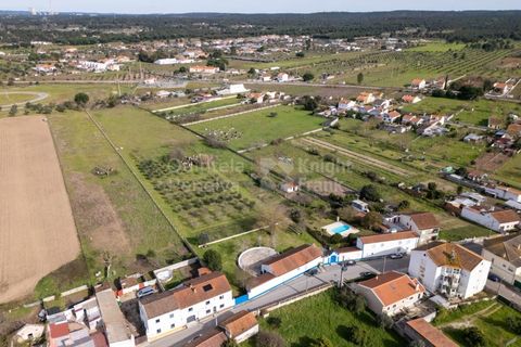 Farm i Abrantes, Santarem, Abrantes - € 498.000 | Ref: PROP-33688 - foto 3