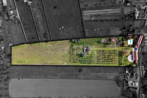 Farm i Abrantes, Santarem, Abrantes - € 498.000 | Ref: PROP-33688 - foto 7
