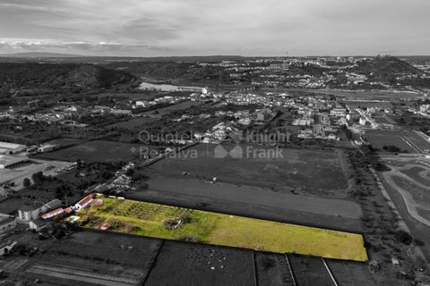 Farm i Abrantes, Santarem, Abrantes - € 498.000 | Ref: PROP-33688 - foto 8