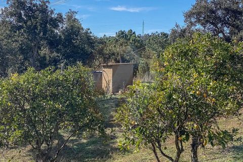 Villa a Odemira, Beja, Odemira - € 293.000 | Ref: Qt-968 - foto 5
