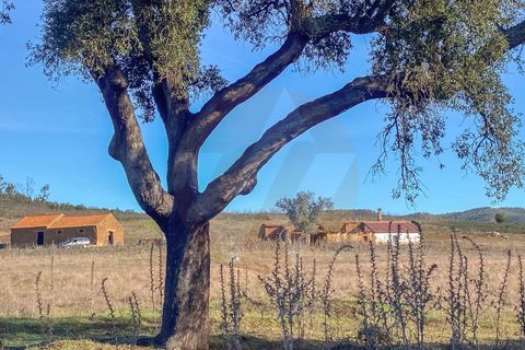 Villa i Odemira, Beja, Odemira - € 530.000 | Ref: Qt-954 - foto 7