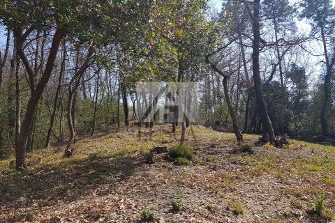 Villa i Lucca, Lucca, Lucca - € 870.000 | Ref: 5727 - foto 6