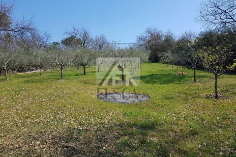 Villa i Lucca, Lucca, Lucca - € 870.000 | Ref: 5727 - foto 8