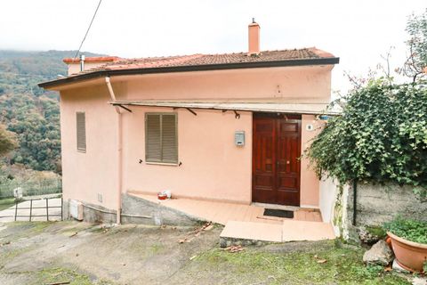 Villa i Falerna, Catanzaro, Falerna - € 80.000 | Ref: 3-FALRAS - foto 20