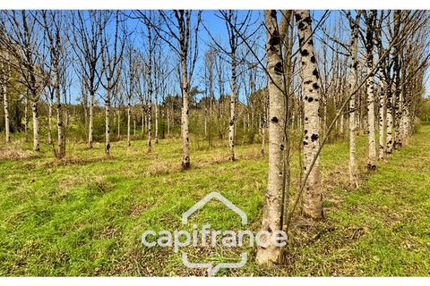 Villa i Monflanquin, Lot-et-Garonne, Monflanquin - € 110.000 | Ref: 340937055828 - foto 1
