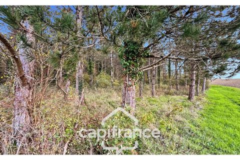 Villa i Monflanquin, Lot-et-Garonne, Monflanquin - € 110.000 | Ref: 340937055828 - foto 4
