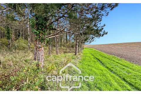 Villa i Monflanquin, Lot-et-Garonne, Monflanquin - € 110.000 | Ref: 340937055828 - foto 5