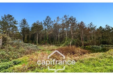 Villa i Monflanquin, Lot-et-Garonne, Monflanquin - € 110.000 | Ref: 340937055828 - foto 7