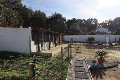 Villa i A dos Cunhados e Maceira, Lisbon, A dos Cunhados e Maceira - € 549.999 | Ref: CAS_423 - foto 12