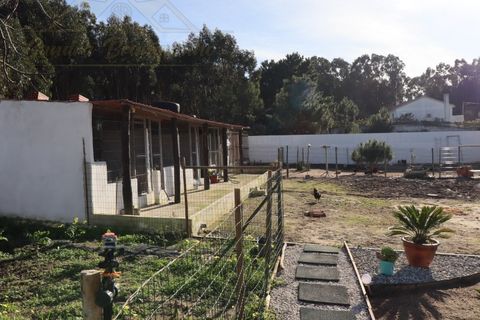 Villa i A dos Cunhados e Maceira, Lisbon, A dos Cunhados e Maceira - € 549.999 | Ref: CAS_423 - foto 14