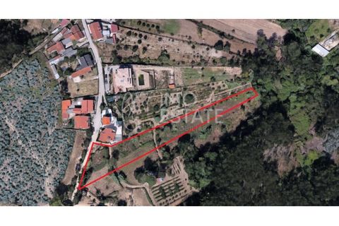 Terra a Antuzede e Vil de Matos, Coimbra, Antuzede e Vil de Matos - € 35.000 | Ref: IE307_1 - foto 10