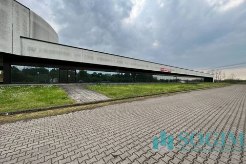L'establiment comercial a Cusago, Milan, Cusago - € 12.500/mes | Ref: 37545 - foto 7