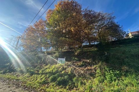 Terra a Penude, Viseu, Penude - € 50.000 | Ref: LMG_4084 - N - foto 2