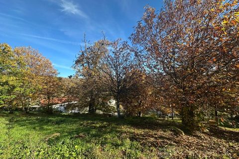 Terra a Penude, Viseu, Penude - € 50.000 | Ref: LMG_4084 - N - foto 3