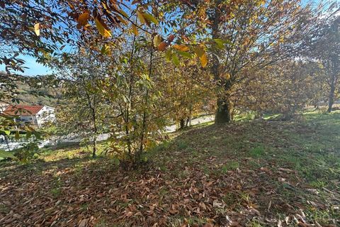 Terra a Penude, Viseu, Penude - € 50.000 | Ref: LMG_4084 - N - foto 4