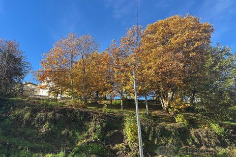 Terra a Penude, Viseu, Penude - € 50.000 | Ref: LMG_4084 - N - foto 5