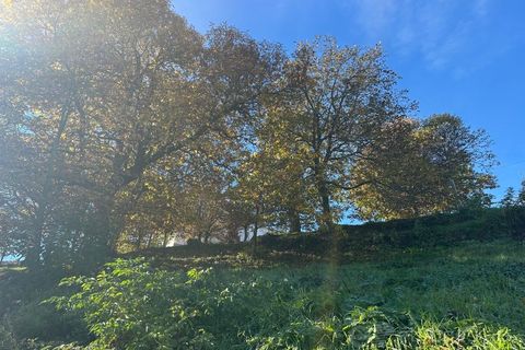 Terra a Penude, Viseu, Penude - € 50.000 | Ref: LMG_4084 - N - foto 6