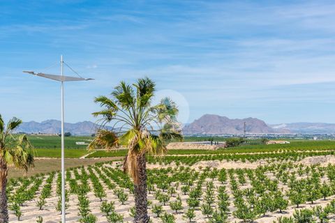 Willa: Algorfa, Alicante, Algorfa – 445 000 € | Ref: N-239/37 – zdjęcie 9
