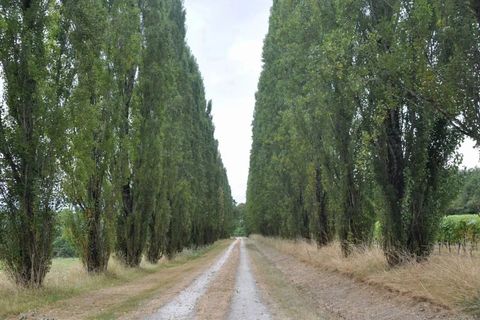 Villa i Aubeterre-sur-Dronne, Charente, Aubeterre-sur-Dronne - € 477.000 | Ref: BVI76858 - foto 2