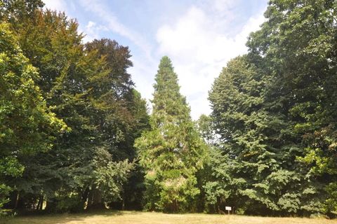 Villa i Aubeterre-sur-Dronne, Charente, Aubeterre-sur-Dronne - € 477.000 | Ref: BVI76858 - foto 9
