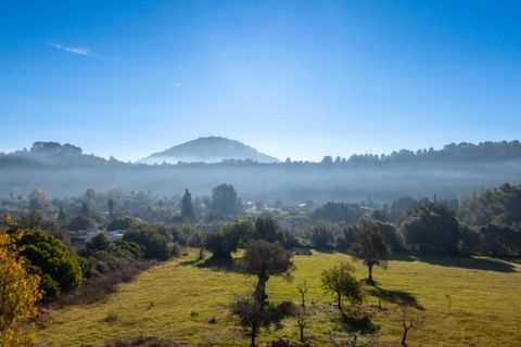 Masia a Pollenca, Mallorca, Pollenca - € 2.995.000 | Ref: 82946 - foto 18