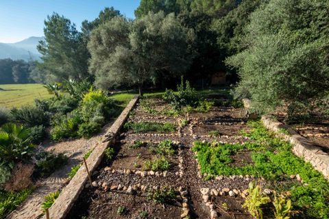 Masia a Pollenca, Mallorca, Pollenca - € 2.995.000 | Ref: 82946 - foto 22