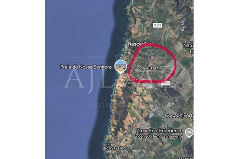 Byhus i Odemira, Beja, Odemira - € 250.000 | Ref: APA_372 - foto 19