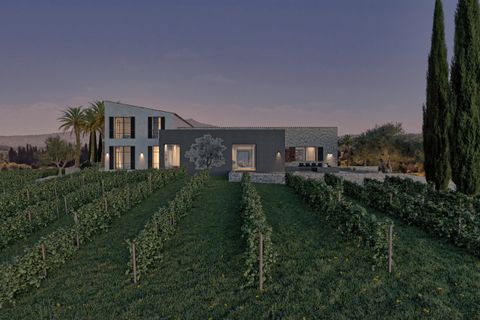 Tomt i Selva, Mallorca, Selva - € 895 000 | Ref: FALC-Nep-63237 - foto 18