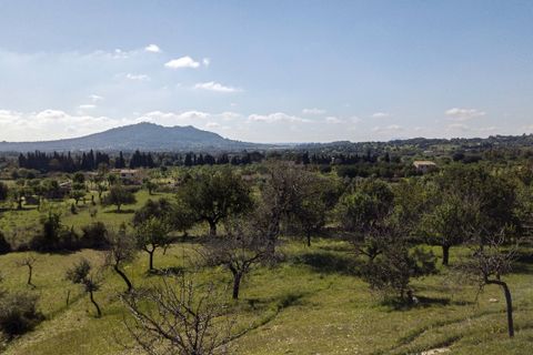 Tomt i Selva, Mallorca, Selva - € 895 000 | Ref: FALC-Nep-63237 - foto 22