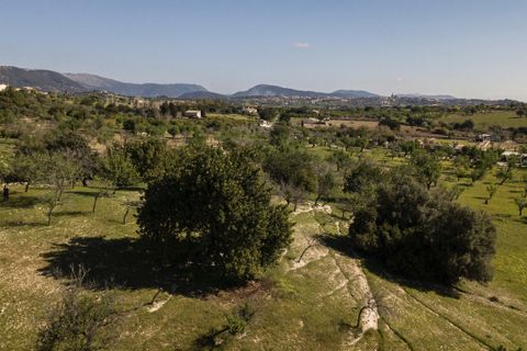 Tomt i Selva, Mallorca, Selva - € 895 000 | Ref: FALC-Nep-63237 - foto 26