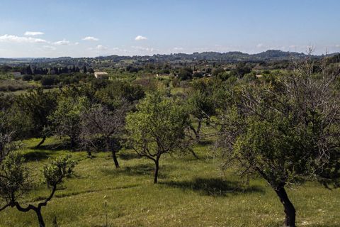 Tomt i Selva, Mallorca, Selva - € 895 000 | Ref: FALC-Nep-63237 - foto 30