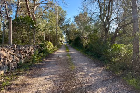 Helårsgrund i Algaida, Mallorca, Algaida - € 375.000 | Ref: FALC-SoSc-78797 - foto 2