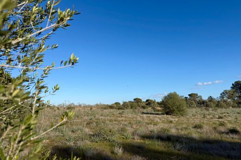 Helårsgrund i Algaida, Mallorca, Algaida - € 375.000 | Ref: FALC-SoSc-78797 - foto 3