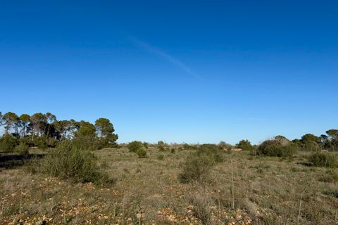 Helårsgrund i Algaida, Mallorca, Algaida - € 375.000 | Ref: FALC-SoSc-78797 - foto 4