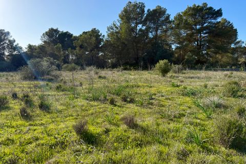 Helårsgrund i Algaida, Mallorca, Algaida - € 375.000 | Ref: FALC-SoSc-78797 - foto 5