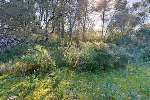 Helårsgrund i Algaida, Mallorca, Algaida - € 375.000 | Ref: FALC-SoSc-78797 - foto 6