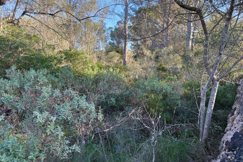 Helårsgrund i Algaida, Mallorca, Algaida - € 375.000 | Ref: FALC-SoSc-78797 - foto 7