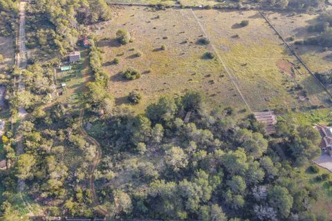 Helårsgrund i Algaida, Mallorca, Algaida - € 375.000 | Ref: FALC-SoSc-78797 - foto 11
